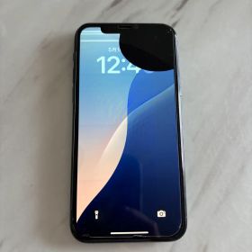 iPhone 11 Pro 256GB 本体のみ 利用制限○ ジャンク