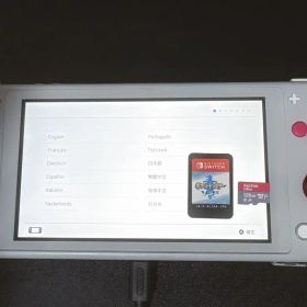 Nintendo Switch Lite ポケモン 剣盾
