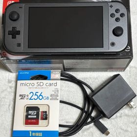 Nintendo Switch Lite ポケモンデザイン SDカード付き