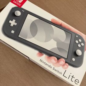 Nintendo Switch Lite グレー