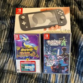 Nintendo Switch Lite グレー カセット2本 値下げ可能