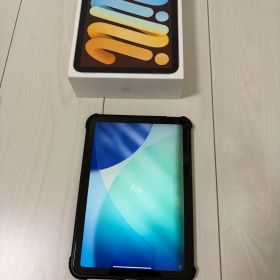 iPad mini（第6世代/2021）Wi-Fiモデル 256GB