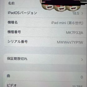 iPad mini (第6世代) 64GB