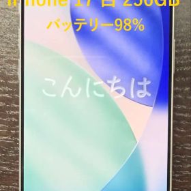 iPhone 17 白 256GB 98%