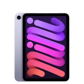 iPad mini 第6世代 64GB 本体 美品