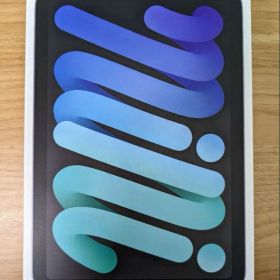 【美品】iPad mini 6 スペースグレイ 64GB WiFi カメラ不具合
