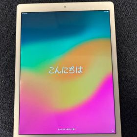 【最安】Apple iPad Pro12.9インチ 512G 第2世代 本体のみ