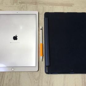 Apple iPad Pro 128GBゴールド 本体 12.9インチ