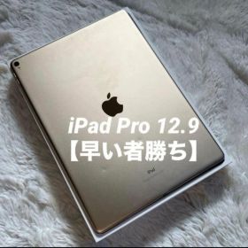【完動品】iPad Pro 12.9 512GB 【すぐ発送】【付属品】