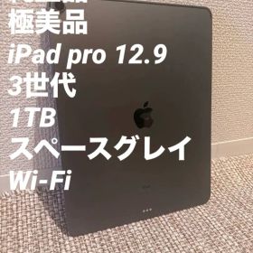 極美品 iPad pro 12.9 3世代 1TB スペースグレイ Wi-Fi