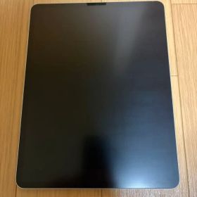 iPad Pro (12.9インチ) 第5世代 256GB 本体のみ