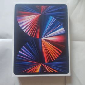 Apple iPad Pro 12.9インチ (第5世代) スペースグレー M1