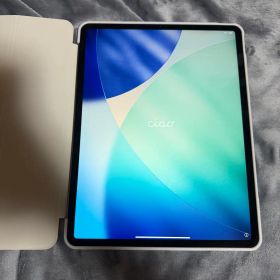 極美品 iPad Pro 12.9インチ 第4世代 1TB スペースグレイ