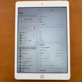 Apple iPad 第7世代 A2198 32GB