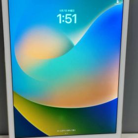 【Wi-Fiモデル】iPad Pro 12.9インチ/A1584/128GB〈ML0R2LL/A〉