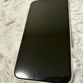 Apple iPhone 11 本体