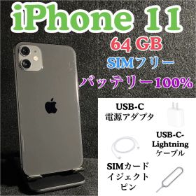 iPhone 11 64 GB SIMフリー バッテリー 100%