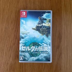 ゼルダの伝説 ティアーズ オブ ザ キングダム