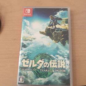 ゼルダの伝説 ティアーズ オブ ザ キングダム