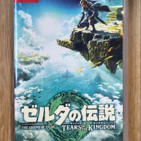 ゼルダの伝説 ティアーズ オブ ザ キングダム