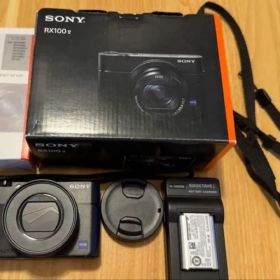【限定値下げ】SONY Cyber-shot DSC-RX100M5A コンデジ
