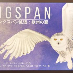 アークライト 欧州の翼 ウイングスパン拡張