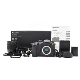パナソニック(Panasonic)の極上品 Panasonic LUMIX GH5 DC-GH5M カメラ A81(ミラーレス一眼)