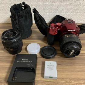 NICON D5500