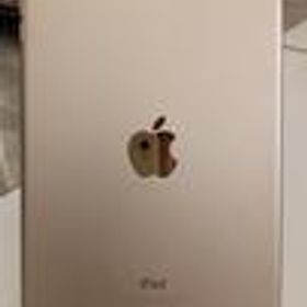 IPAD MINI4 MK9J2J/A APPLE