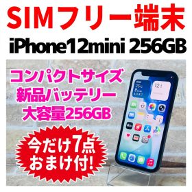 SIMフリー iPhone12mini 256GB ブラック バッテリー新品