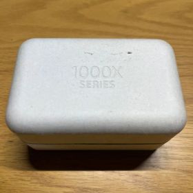 Wf1000xm5
