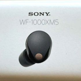 ★【美品】SONY WF-1000XM5/BC ワイヤレスイヤホン