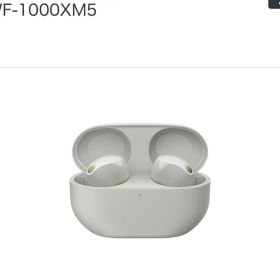 ほぼ新品 SONY WF-1000XM5 ワイヤレスイヤホン プラチナシルバー