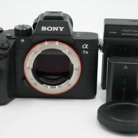 シャッター回数44060回！■美品■ SONY α7III ボディブラック ILCE-7M3