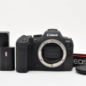 ★極上美品★Canon キャノン EOS R6 Mark ll ショット数4000回以下 ボディ フルサイズミラーレスカメラ ★A109N #244