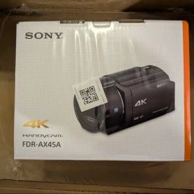 SONY 4K ハンディカム FDR-AX45A 本体