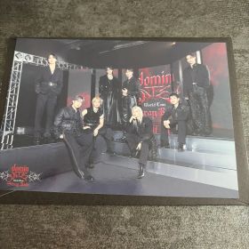 Stray Kids dominion World Tour グループフォト