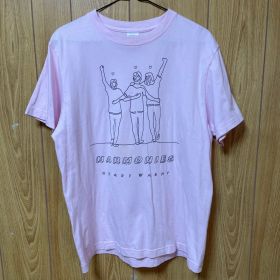 清春ハーモニーズTシャツMサイズ+チラシ