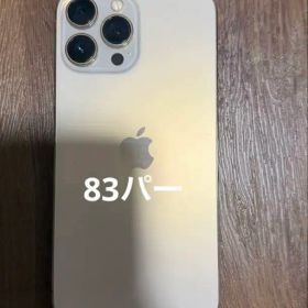 iPhone13proMax 256GB