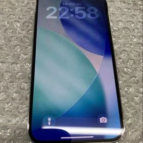 iPhone13ProMax256GB