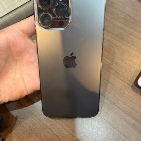 Apple iPhone 13 Promax グラファイト 6.7インチ