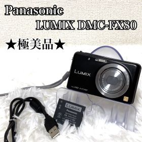 ★極美品★ Panasonic LUMIX DMC-FX80 デジタルカメラ