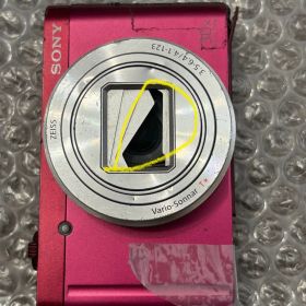 SONY DSC-WX500
