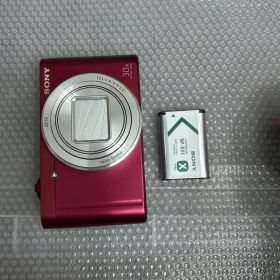 SONY DSC-WX500 9201