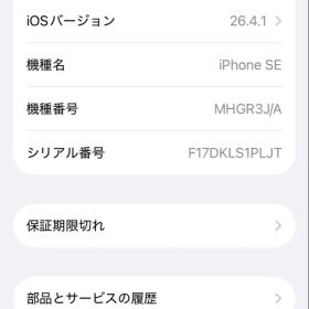 iPhone SE2 ジャンク 起動OK 水没 液晶シミ 64GB 部品取りに