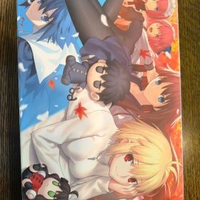 MELTY BLOOD： TYPE LUMINA Switch 新品 11,000円 中古 | ネット最安値