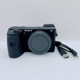 SONY α6600 ILCE-6600 ミラーレス 海外仕様 3713