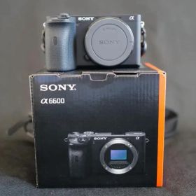 SONY α6600本体（箱、バッテリー付）