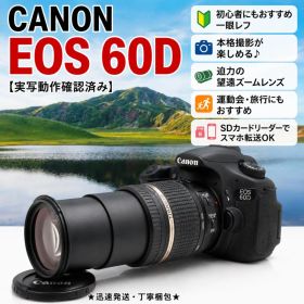 本格中級機｜Canon EOS 60D★自撮りOK！バリアングル液晶★動作良好
