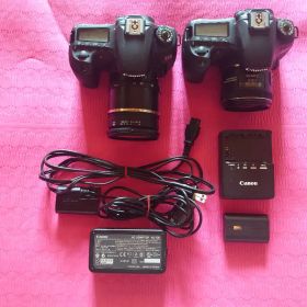 キヤノン キャノン Canon EOS 60D 2機 単焦点 ズームレンズ 純正